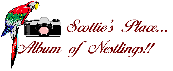 Scottie's Place...Album of Nestlings!