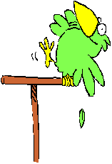Stumbling Parrot