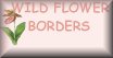 Wild Flower Borders