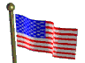 waving U.S. flag