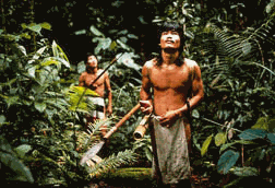 Yamamoni tribe