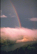 Rainbow Picture6