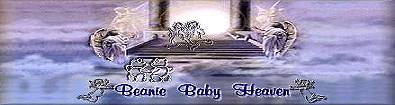 Beanie Baby Heaven