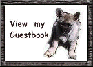 View First Guestbook