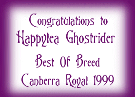 Congratulations to Happylea Ghostrider : Best Of Breed Canberra Royal 1999.