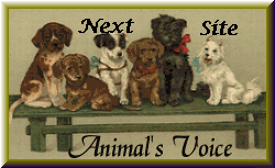 Next Animal's Voice Ring Site