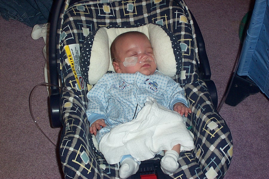 Hendrix sleeping in his carrier