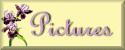 Pictures