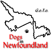 Dogs In Newfoundland Web Ring - Want to join the ring?