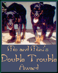 Double Trouble Award