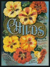 My Gardening Pages