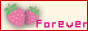 Forever Memories