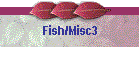 Fish/Misc3