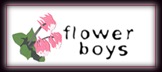 Flowerboys: A Weiss Kreuz Page!