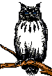 owl2.gif (5250 bytes)