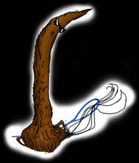 a dreadlock sewing in the loose hairs