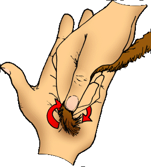 tip rolling a dreadlock, this is how you make your tips round and smooth