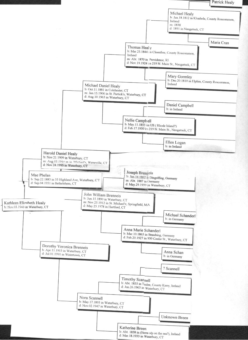 Image map of Healy Family Tree
