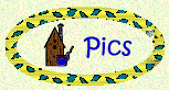 Pictures
