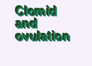 clomid and ovulation