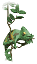 colorchange_md_wht.gif (8785 bytes)