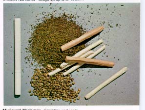 Pot Seeds
