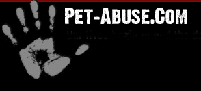 Pet Abuse.com