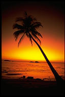 img0073.jpg