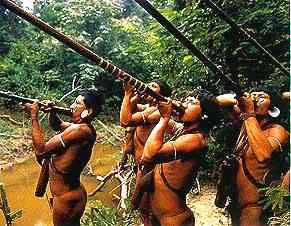 Indios Brasileiros