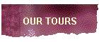 OUR TOURS