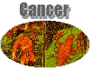 cancer