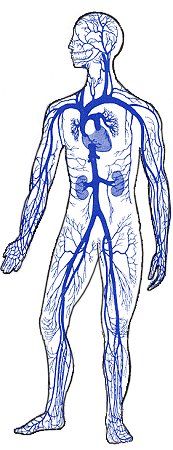 Coagulazione di laser di endovascular di vene varicose