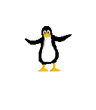 an_acq0800008_pinguino.gif