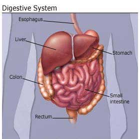 Medicine Acupuncture Herbal Treatment Cure Liver Cancer Kuala Lumpur Herbs Medical Treatment Cure Centre