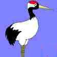 Picture of red-crested crane