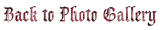 Return To The Iddy Biddy Photo Gallery