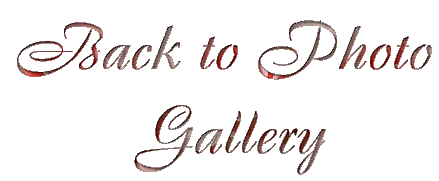 Return to Our Photo Gallery