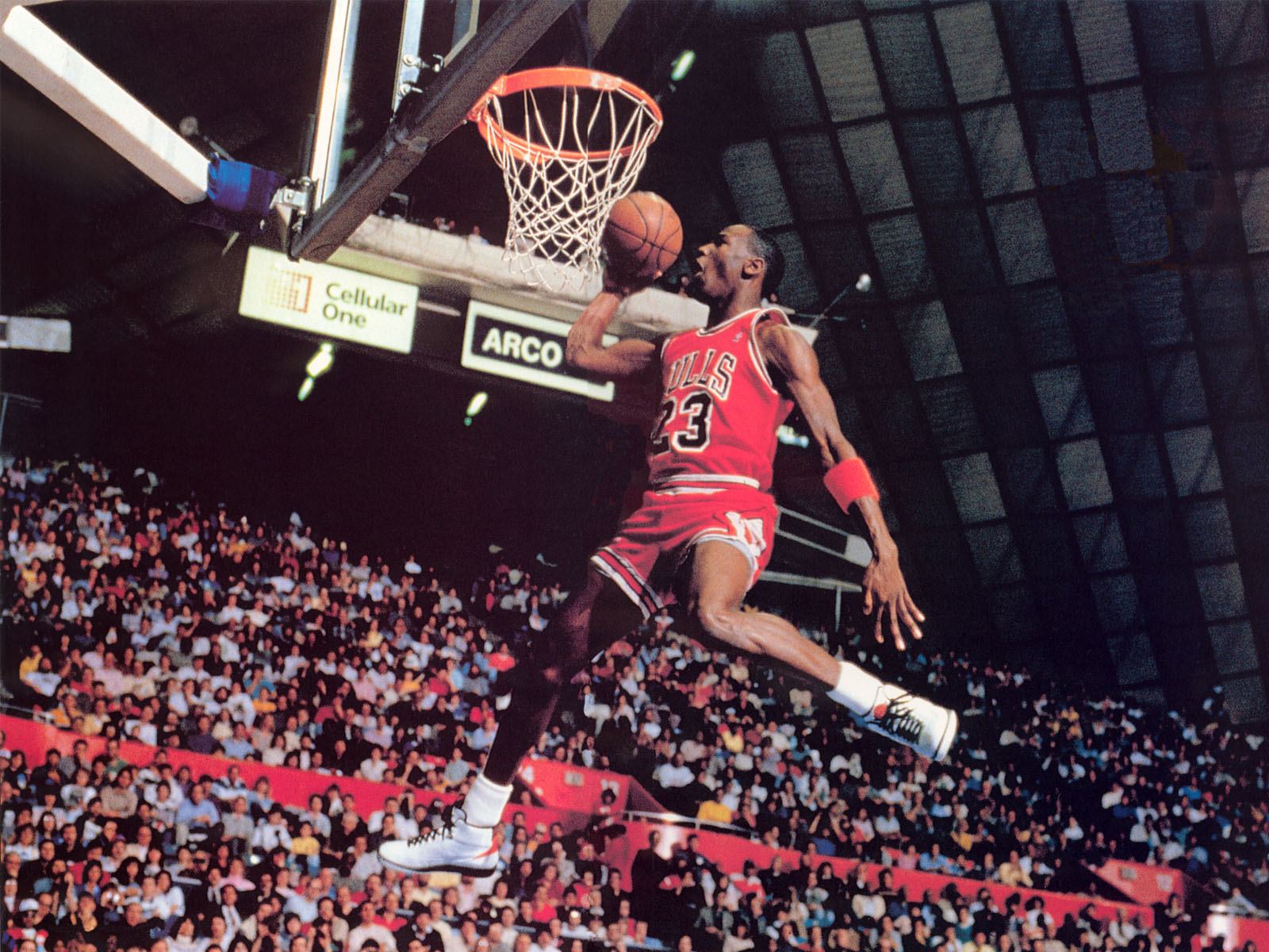 JORDAN EXTREME JORDAN EXTREME