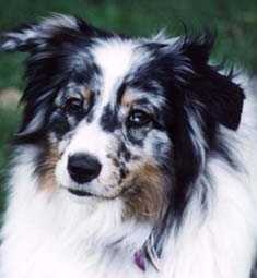 Lydia