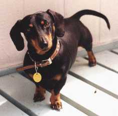 Oscar