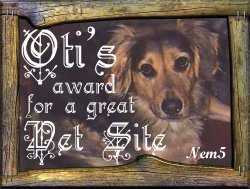 Oti's Award for a great Pet Site