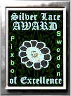 Silver Lace Award