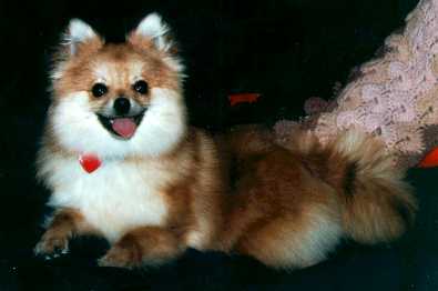 Sweetie