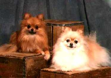 Pierre and Precious