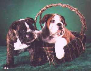 Zack and George