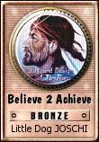 Believe 2 Achieve Bronze Award