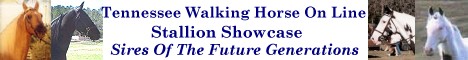 The Tennessee Walking Horse Stallion Showcase Visit us Today!