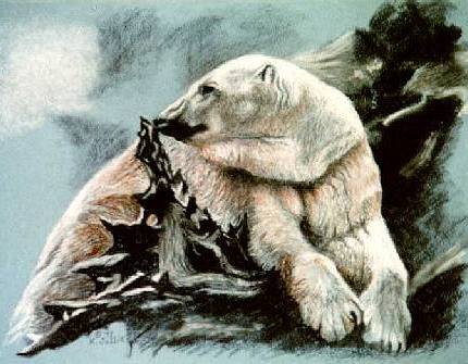 'Polar Bear on Driftwood', 9 X 12, Cont on blue pastel paper