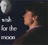 wish for the moon