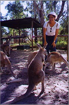 Caversham Kangaroos